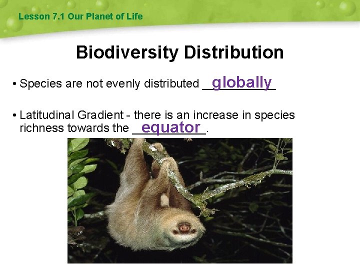 Lesson 7. 1 Our Planet of Life Biodiversity Distribution • Species are not evenly