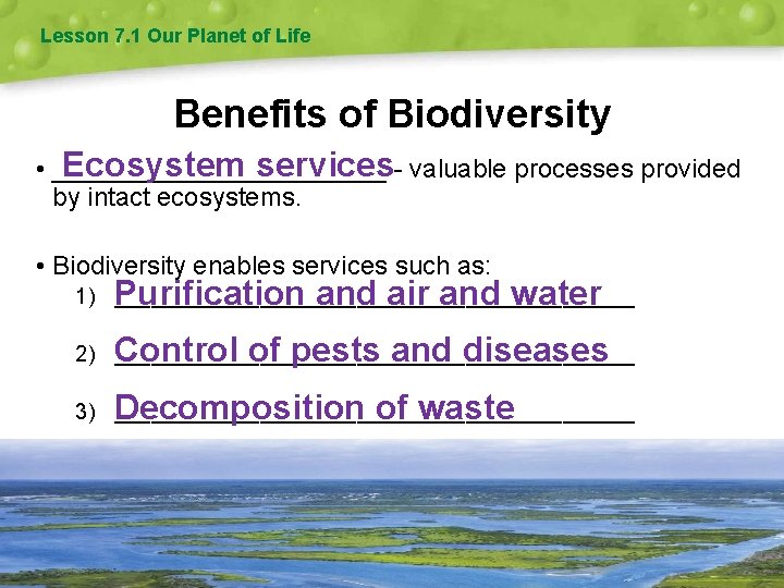 Lesson 7. 1 Our Planet of Life Benefits of Biodiversity Ecosystem services- valuable processes