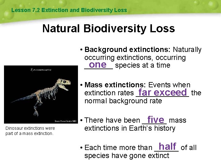 Lesson 7. 2 Extinction and Biodiversity Loss Natural Biodiversity Loss • Background extinctions: Naturally