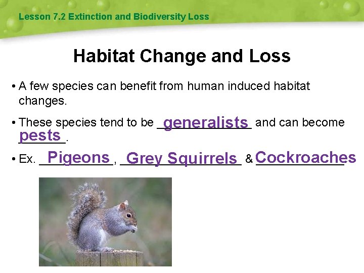 Lesson 7. 2 Extinction and Biodiversity Loss Habitat Change and Loss • A few