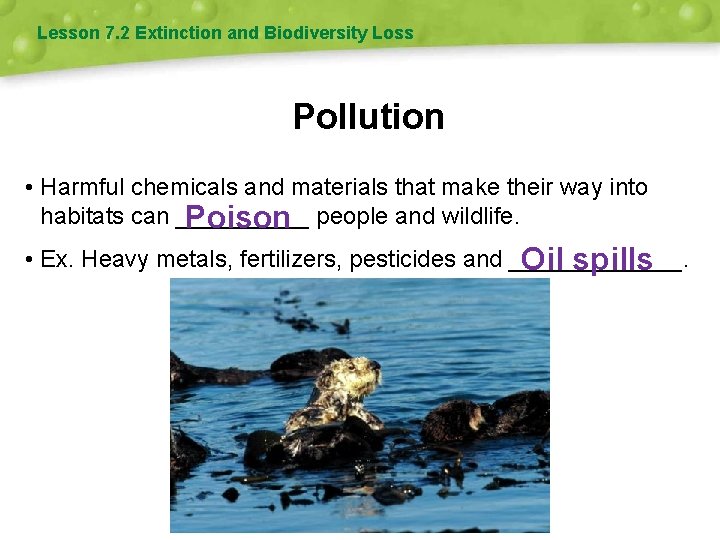 Lesson 7. 2 Extinction and Biodiversity Loss Pollution • Harmful chemicals and materials that