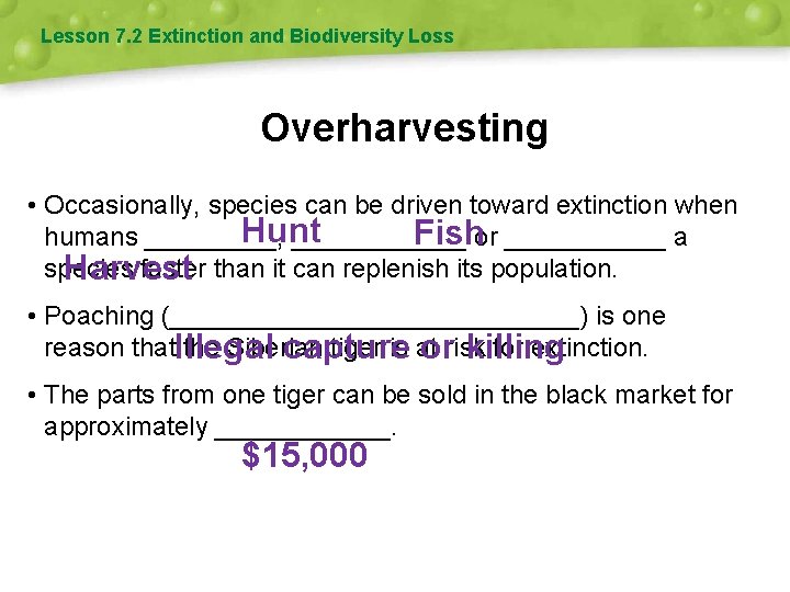 Lesson 7. 2 Extinction and Biodiversity Loss Overharvesting • Occasionally, species can be driven