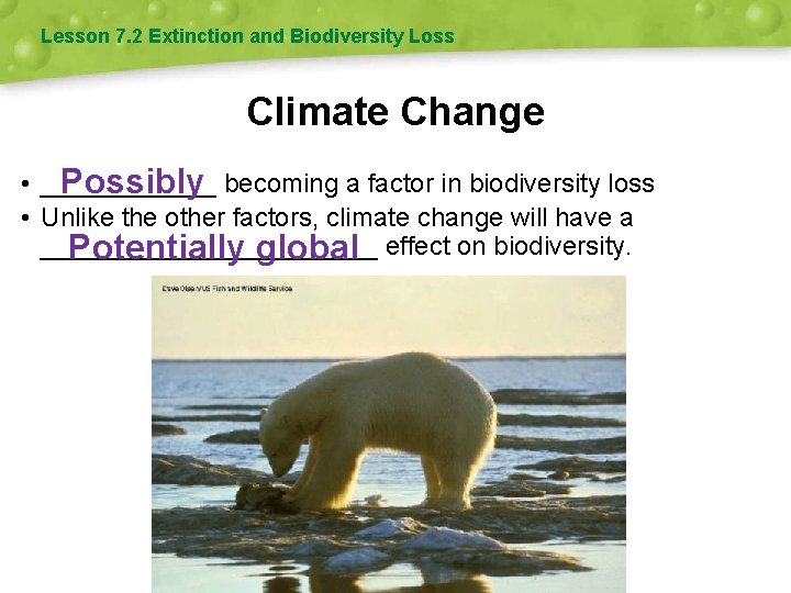 Lesson 7. 2 Extinction and Biodiversity Loss Climate Change • ______ Possibly becoming a