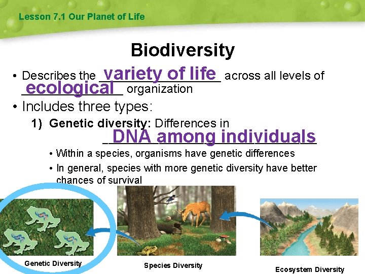 Lesson 7. 1 Our Planet of Life Biodiversity • Describes the _________ variety of