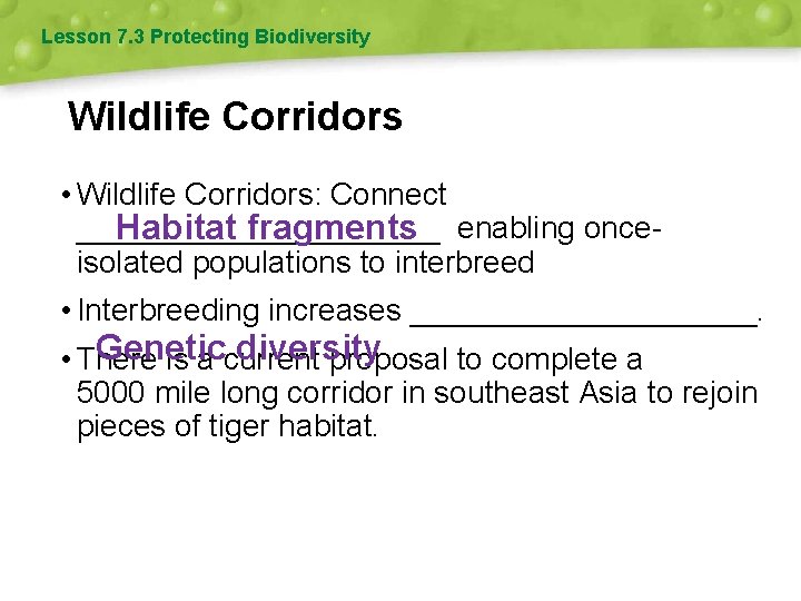 Lesson 7. 3 Protecting Biodiversity Wildlife Corridors • Wildlife Corridors: Connect ___________ Habitat fragments