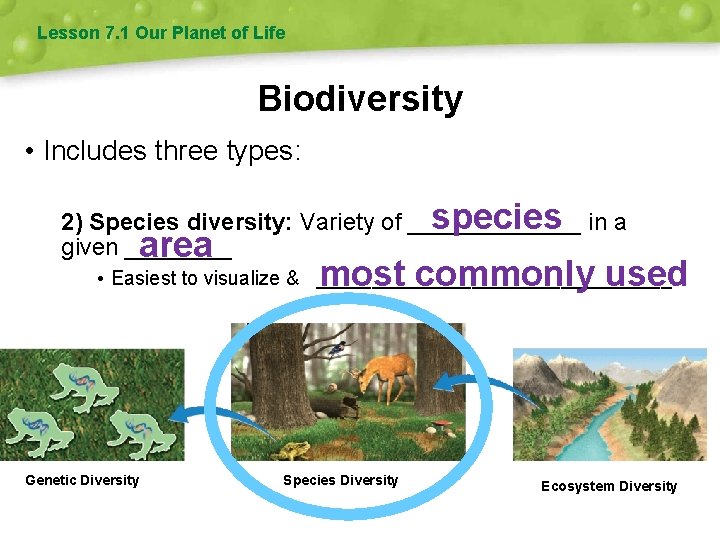 Lesson 7. 1 Our Planet of Life Biodiversity • Includes three types: species in