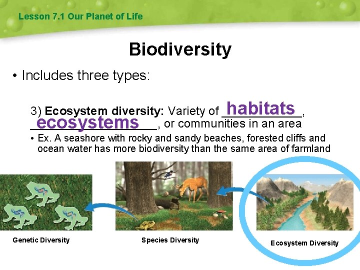 Lesson 7. 1 Our Planet of Life Biodiversity • Includes three types: habitats 3)