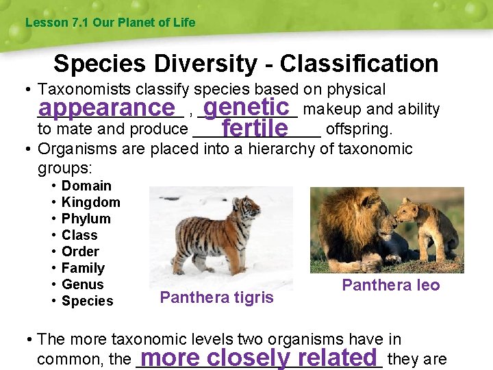 Lesson 7. 1 Our Planet of Life Species Diversity - Classification • Taxonomists classify