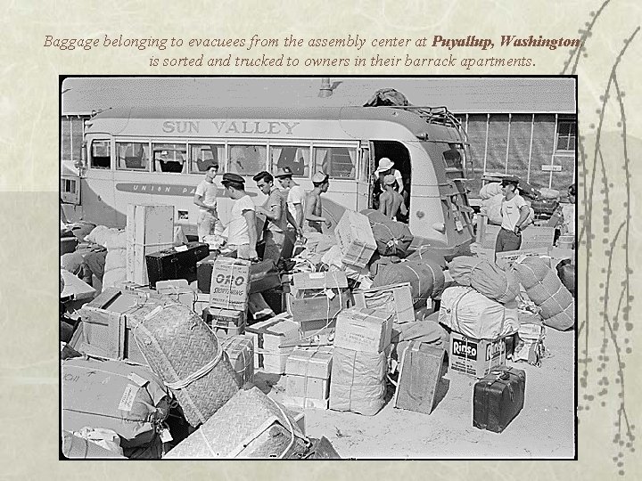 Baggage belonging to evacuees from the assembly center at Puyallup, Washington, is sorted and