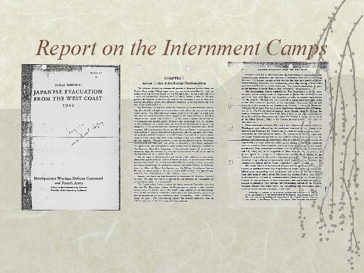 Report on the Internment Camps 