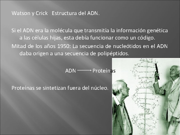 Watson y Crick Estructura del ADN. Si el ADN era la molécula que transmitía