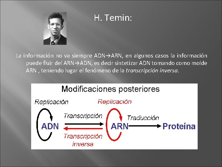 H. Temin: La información no va siempre ADN→ARN, en algunos casos la información puede