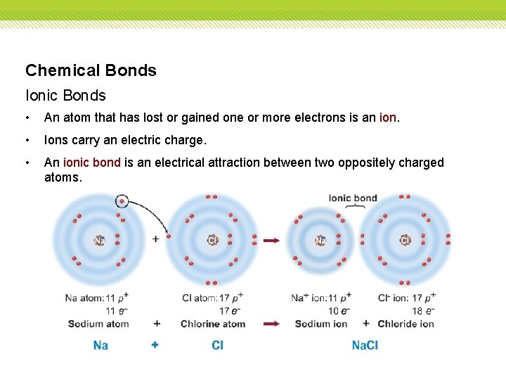 Chemical Bonds Ionic Bonds • An atom that has lost or gained one or