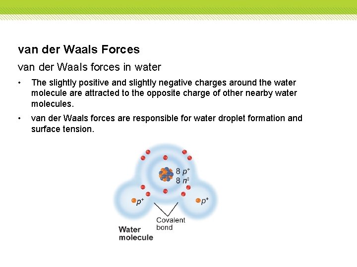 van der Waals Forces van der Waals forces in water • The slightly positive