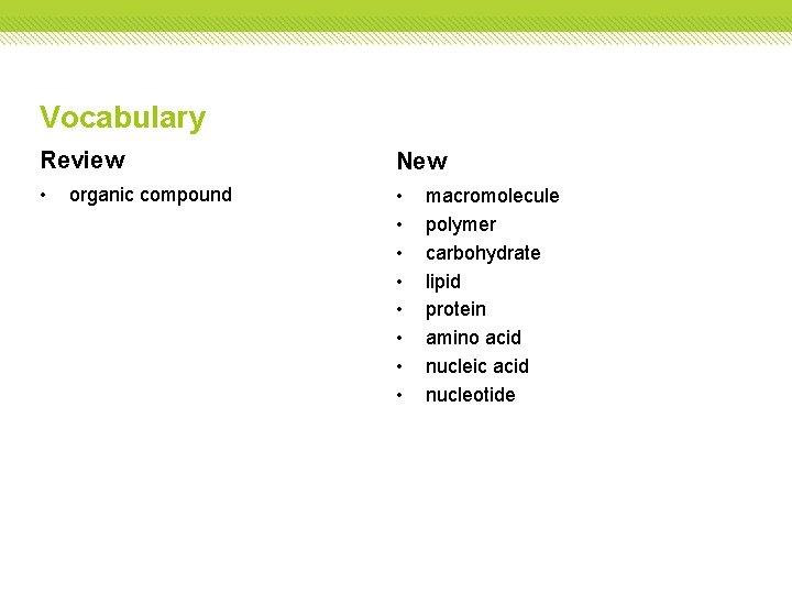 Vocabulary Review New • • • organic compound macromolecule polymer carbohydrate lipid protein amino