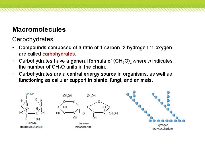 Macromolecules Carbohydrates • Compounds composed of a ratio of 1 carbon : 2 hydrogen