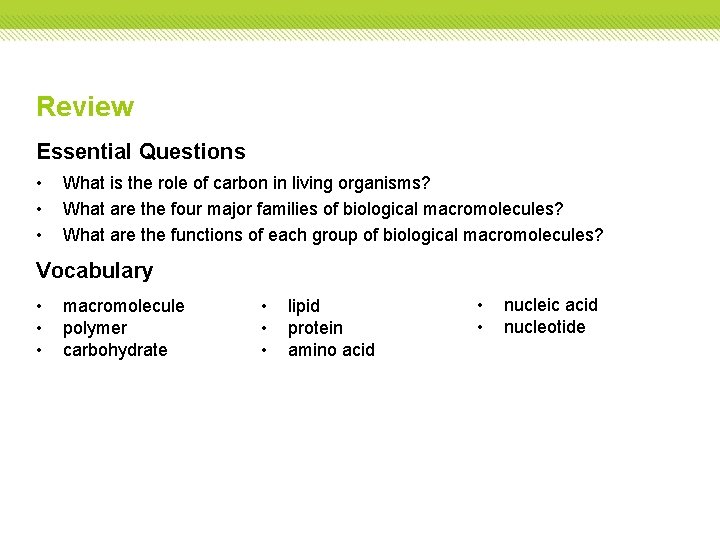 Review Essential Questions • • • What is the role of carbon in living