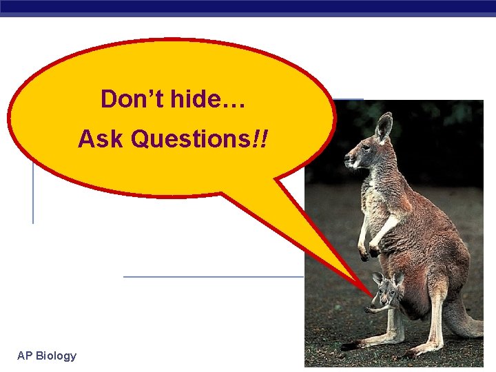 Don’t hide… Ask Questions!! AP Biology 2006 -2007 