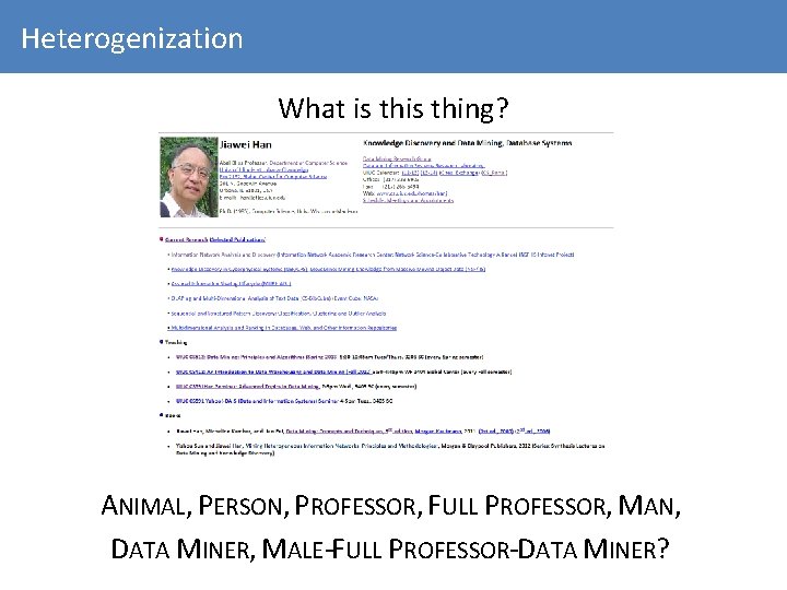 Heterogenization What is thing? ANIMAL, PERSON, PROFESSOR, FULL PROFESSOR, MAN, DATA MINER, MALE-FULL PROFESSOR-DATA