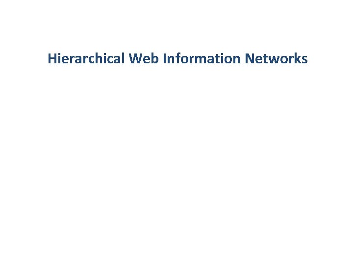 Hierarchical Web Information Networks 