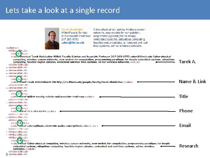 Lets take a look at a single record Tarek A. Name & Link Title