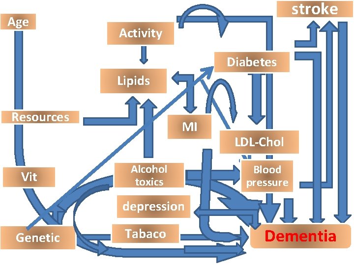 Age stroke Activity Diabetes Lipids Resources Vit MI Alcohol toxics LDL-Chol Blood pressure depression