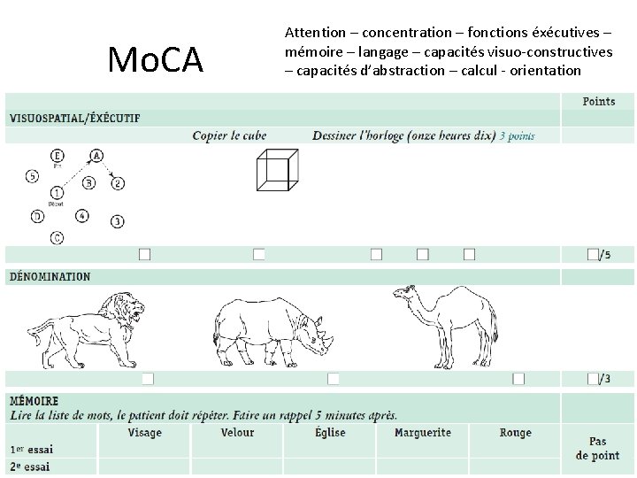 Mo. CA Attention – concentration – fonctions éxécutives – mémoire – langage – capacités