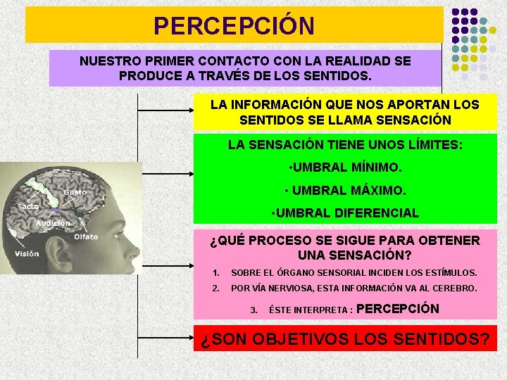 PERCEPCIÓN NUESTRO PRIMER CONTACTO CON LA REALIDAD SE PRODUCE A TRAVÉS DE LOS SENTIDOS.