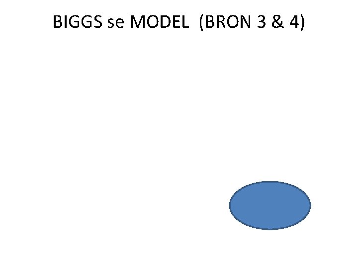 BIGGS se MODEL (BRON 3 & 4) BIGGS se MODEL (BRON 3 & 4)