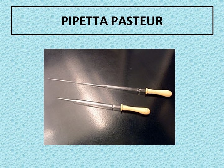PIPETTA PASTEUR 