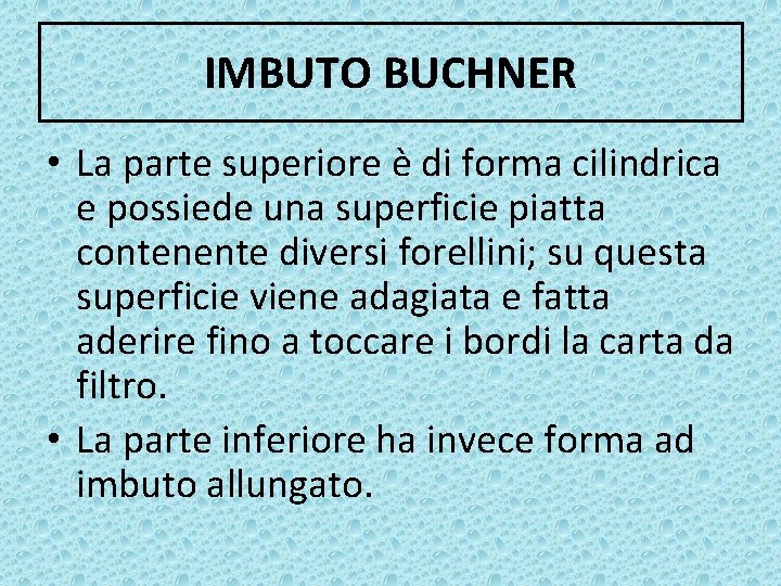 IMBUTO BUCHNER • La parte superiore è di forma cilindrica e possiede una superficie