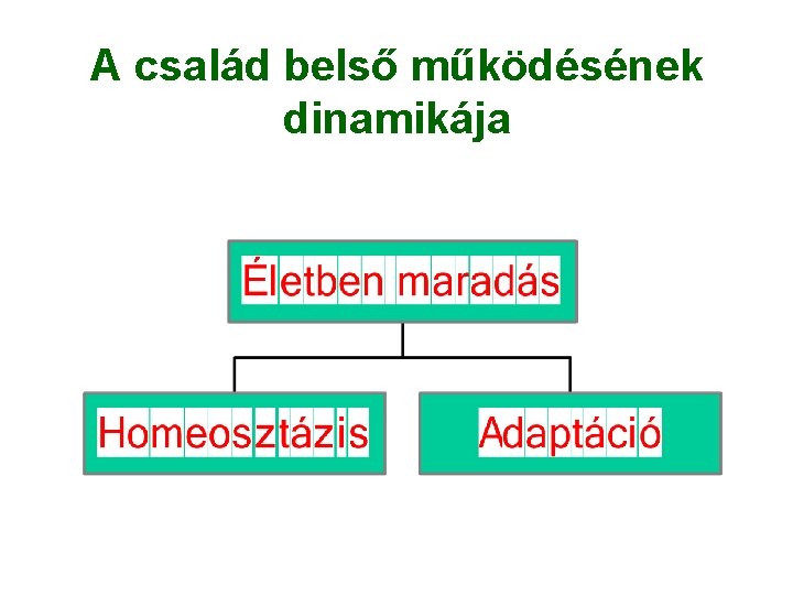 A család belső működésének dinamikája A család belső működésének dinamikája
