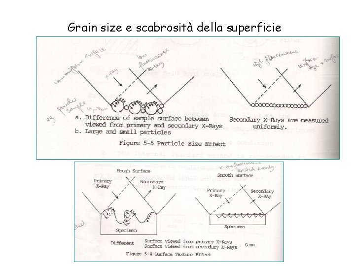 Grain size e scabrosità della superficie 