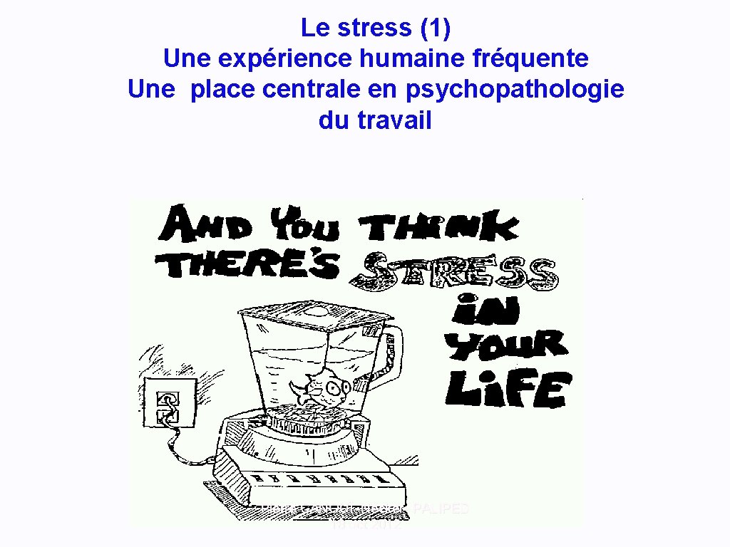 Le stress (1) Une expérience humaine fréquente Une place centrale en psychopathologie du travail