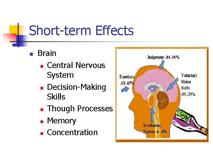 Short-term Effects n Brain n Central Nervous System n Decision-Making Skills n Though Processes