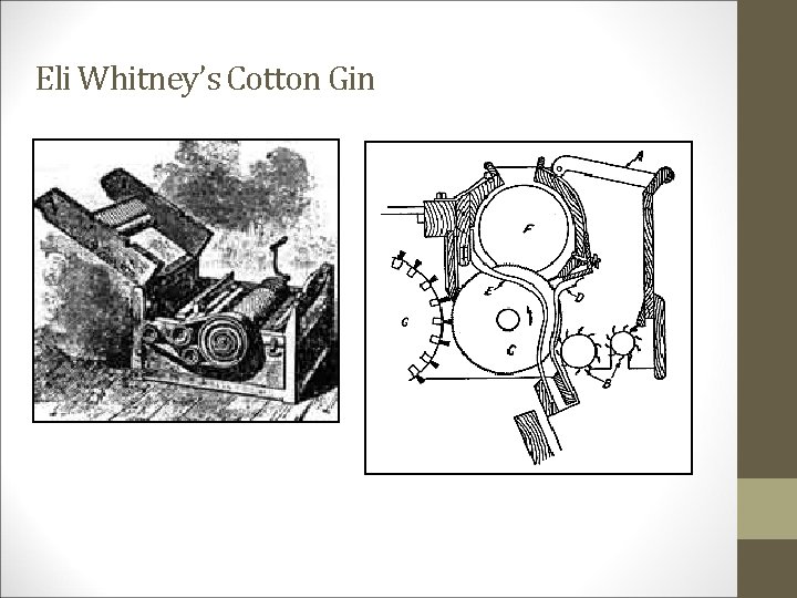Eli Whitney’s Cotton Gin 