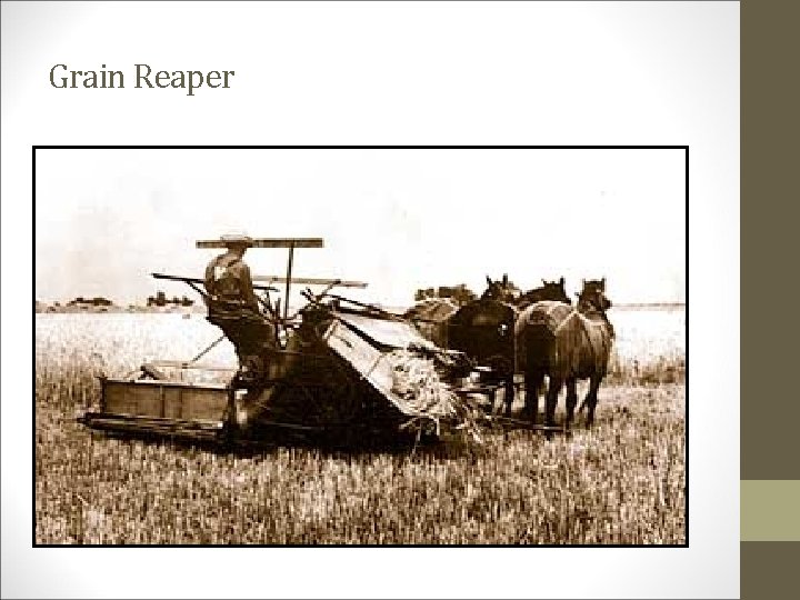 Grain Reaper 