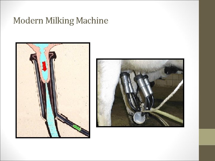 Modern Milking Machine 