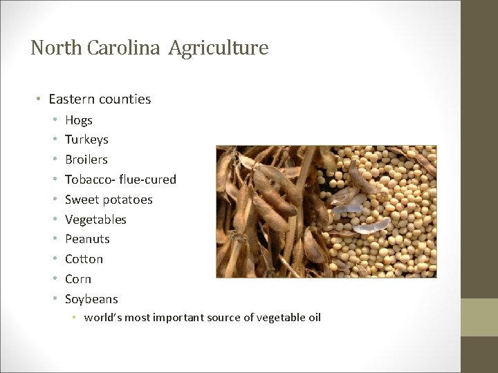 North Carolina Agriculture • Eastern counties • • • Hogs Turkeys Broilers Tobacco- flue-cured