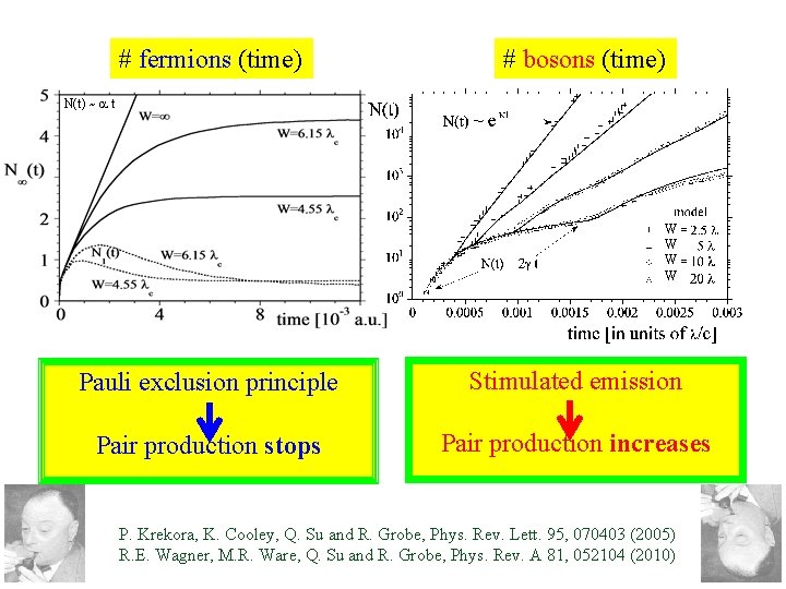 # fermions (time) # bosons (time) N(t) ~ a t W W Pauli exclusion
