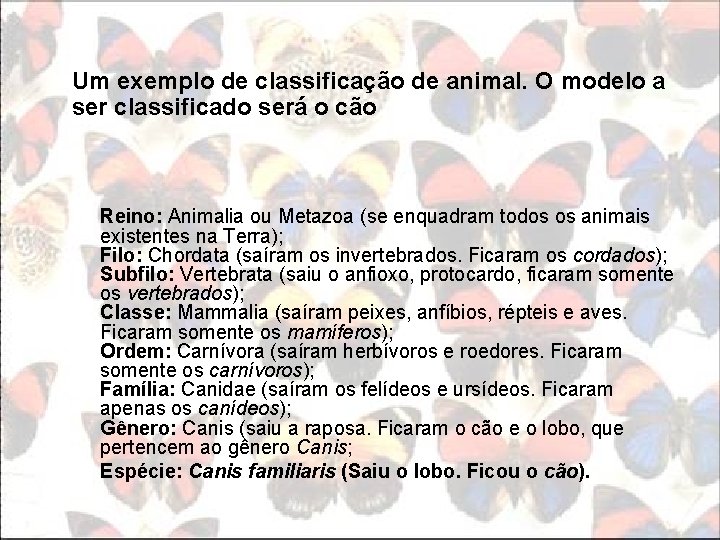 Um exemplo de classificação de animal. O modelo a ser classificado será o cão