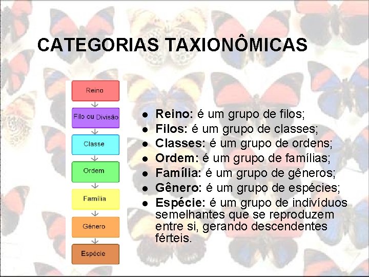 CATEGORIAS TAXIONÔMICAS l l l l Reino: é um grupo de filos; Filos: é