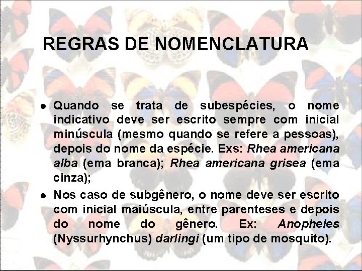 REGRAS DE NOMENCLATURA l l Quando se trata de subespécies, o nome indicativo deve