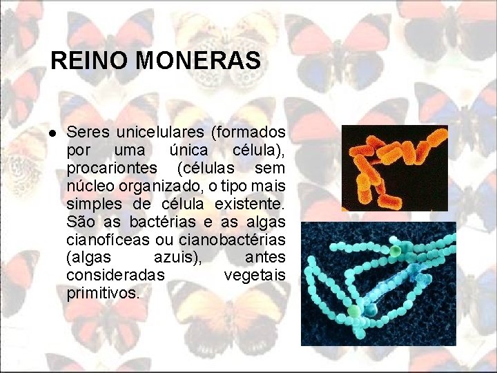 REINO MONERAS l Seres unicelulares (formados por uma única célula), procariontes (células sem núcleo