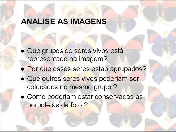 ANALISE AS IMAGENS l l Que grupos de seres vivos está representado na imagem?