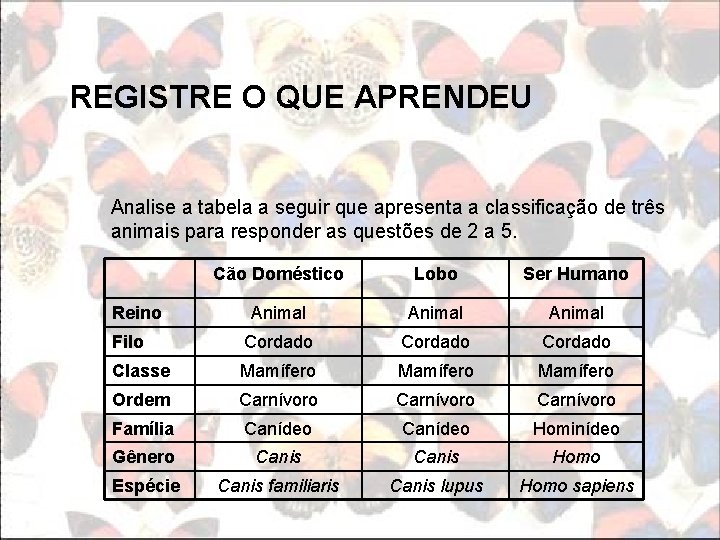 REGISTRE O QUE APRENDEU Analise a tabela a seguir que apresenta a classificação de