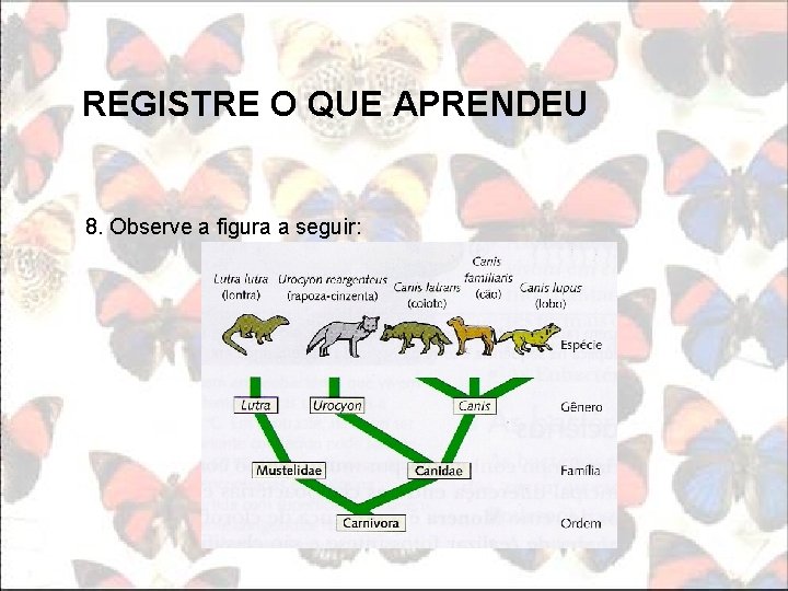 REGISTRE O QUE APRENDEU 8. Observe a figura a seguir: 
