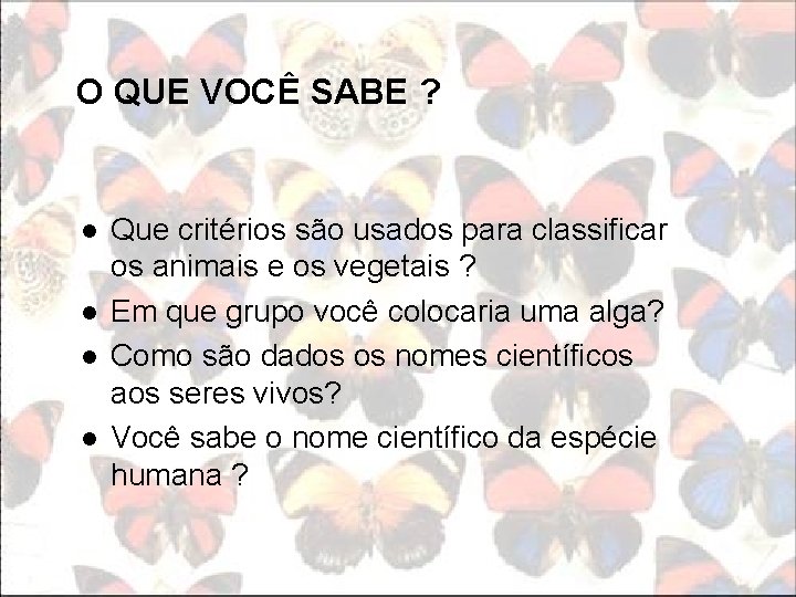 O QUE VOCÊ SABE ? l l Que critérios são usados para classificar os