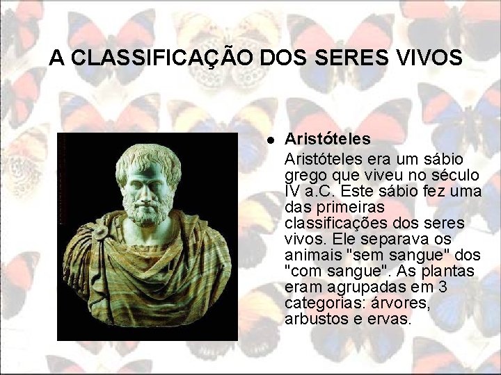 A CLASSIFICAÇÃO DOS SERES VIVOS l Aristóteles era um sábio grego que viveu no