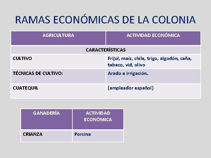 RAMAS ECONÓMICAS DE LA COLONIA AGRICULTURA ACTIVIDAD ECONÓMICA CARACTERÍSTICAS CULTIVO Frijol, maíz, chile, trigo,